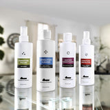 FOAHome Clean Living Furniture Care Kit - Ornate Home