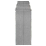 Aerina Aged Gray Console Table