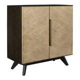 Reina Woodtone Modern 2 Door Cabinet
