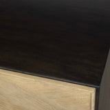Reina Woodtone Modern 2 Door Cabinet