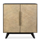 Reina Woodtone Modern 2 Door Cabinet
