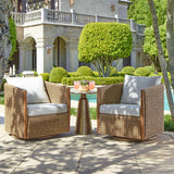 Cala Brown Outdoor Swivel Rocking Chair