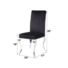 Fabiola Black & Stainless Steel Side Chair (Set of 2) - Ornate Home