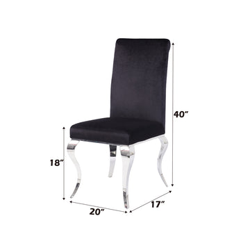 Fabiola Black & Stainless Steel Side Chair (Set of 2) - Ornate Home