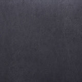 Fabiola Black & Stainless Steel Side Chair (Set of 2) - Ornate Home