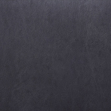 Fabiola Black & Stainless Steel Side Chair (Set of 2) - Ornate Home