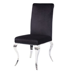 Fabiola Black & Stainless Steel Side Chair (Set of 2) - Ornate Home