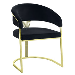 Fallon Black Side Chair - Ornate Home