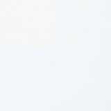 Fallon White & Mirrored Gold Finish Side Chair (Set of 2) - Ornate Home