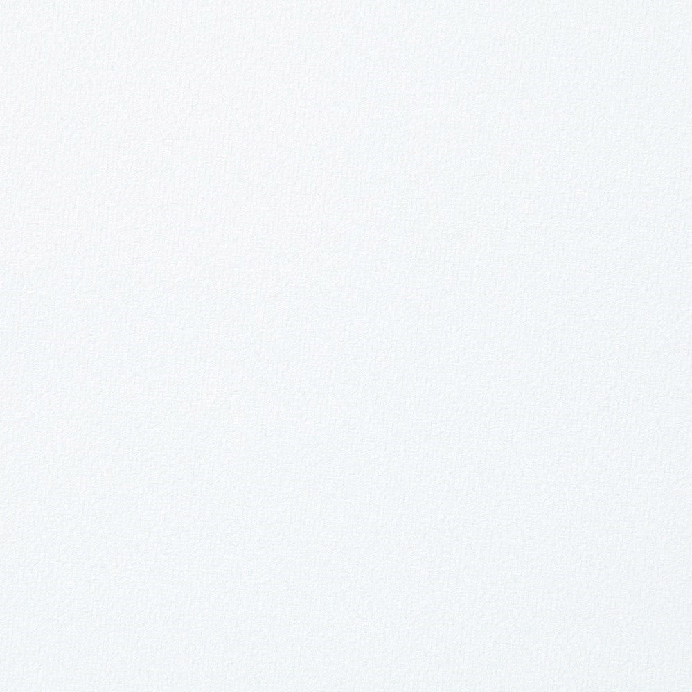 Fallon White & Mirrored Gold Finish Side Chair (Set of 2) - Ornate Home