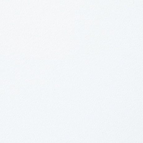 Fallon White & Mirrored Gold Finish Side Chair (Set of 2) - Ornate Home