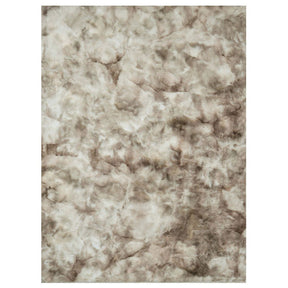 Famalica Tie-Dye Beige Area Rug - Ornate Home