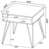 Fanning Golden Oak 2-piece Lift Top Coffee and End Table Set - Ornate Home