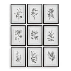 Farmhouse Florals Black/White Framed Prints (Set of 9) - Ornate Home