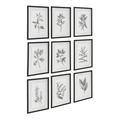 Farmhouse Florals Black/White Framed Prints (Set of 9) - Ornate Home