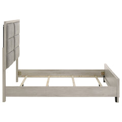 Farre Washed Grey Queen Upholstered Platform Panel Bed - Ornate Home