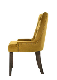 Farren Yellow Side Chair (Set of 2) - Ornate Home