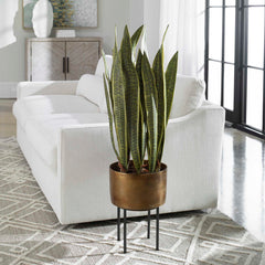 Fasita Brass Planter 2 Cartons - Ornate Home