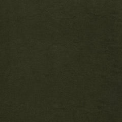Faulkner Moss Green Upholstered Dining Side Chair (Set Of 2) - Ornate Home