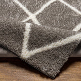 Faye Area Rug - Ornate Home