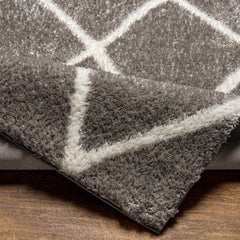 Faye Area Rug - Ornate Home