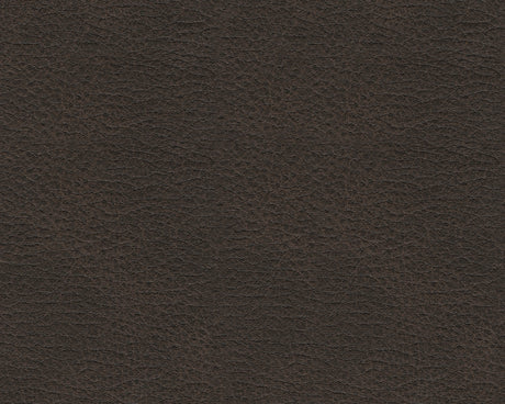 Femley Smoke Rocker Recliner - Ornate Home