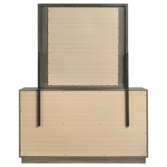 Fenwick Grey Oak/Almond Dresser and Mirror - Ornate Home