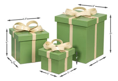 Ferrell Green Leather Holiday Boxes (Set of 3) - Ornate Home