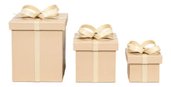 Ferrell Tan Leather Holiday Boxes (Set of 3) - Ornate Home