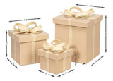 Ferrell Tan Leather Holiday Boxes (Set of 3) - Ornate Home