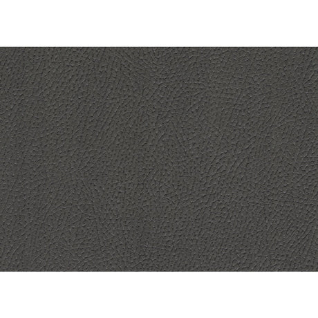 Ferriday Gray Chair with Pull-out Ottoman - Ornate Home