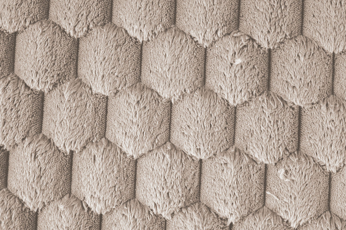 Ferryhill Taupe 2-Arm Chaise - Ornate Home