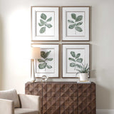 Fiddle Head Gold/Green/White Leaf Botanical Prints (Set of 4) - Ornate Home