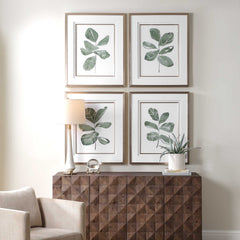 Fiddle Head Gold/Green/White Leaf Botanical Prints (Set of 4) - Ornate Home