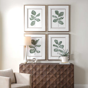 Fiddle Head Gold/Green/White Leaf Botanical Prints (Set of 4) - Ornate Home