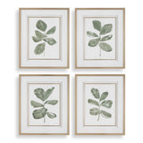 Fiddle Head Gold/Green/White Leaf Botanical Prints (Set of 4) - Ornate Home