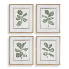 Fiddle Head Gold/Green/White Leaf Botanical Prints (Set of 4) - Ornate Home