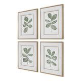 Fiddle Head Gold/Green/White Leaf Botanical Prints (Set of 4) - Ornate Home