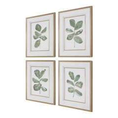 Fiddle Head Gold/Green/White Leaf Botanical Prints (Set of 4) - Ornate Home