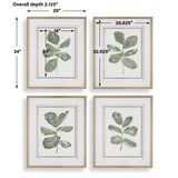 Fiddle Head Gold/Green/White Leaf Botanical Prints (Set of 4) - Ornate Home