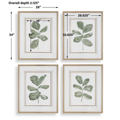 Fiddle Head Gold/Green/White Leaf Botanical Prints (Set of 4) - Ornate Home