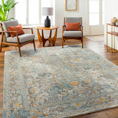 Finn Silver Blue Area Rug - Clearance - Ornate Home