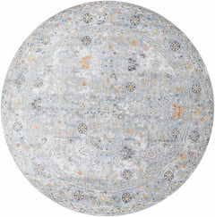 Finn Silver Blue Area Rug - Clearance - Ornate Home