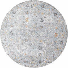 Finn Silver Blue Area Rug - Clearance - Ornate Home
