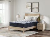 Firm Luxe 2.0 Blue California King Mattress (Online Special Price) - Ornate Home