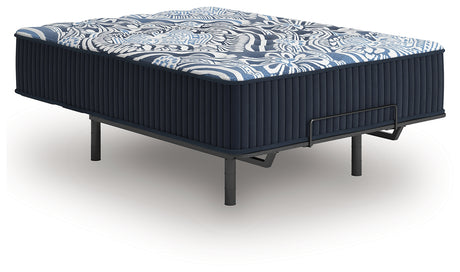 Firm Luxe 2.0 Blue California King Mattress - Ornate Home