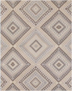 Fischer Area Carpet - Clearance - Ornate Home