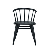 Fitz Black Chair (Set of 2) - Ornate Home