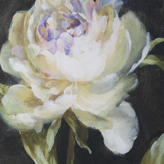 Florals On Black Gold Framed Prints (Set of 4) - Ornate Home