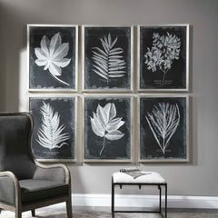 Foliage Multicolor Framed Prints (Set of 6) - Ornate Home